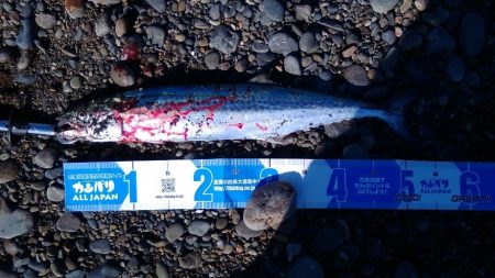 今年3回目にしてやっとボウズ逃れ！